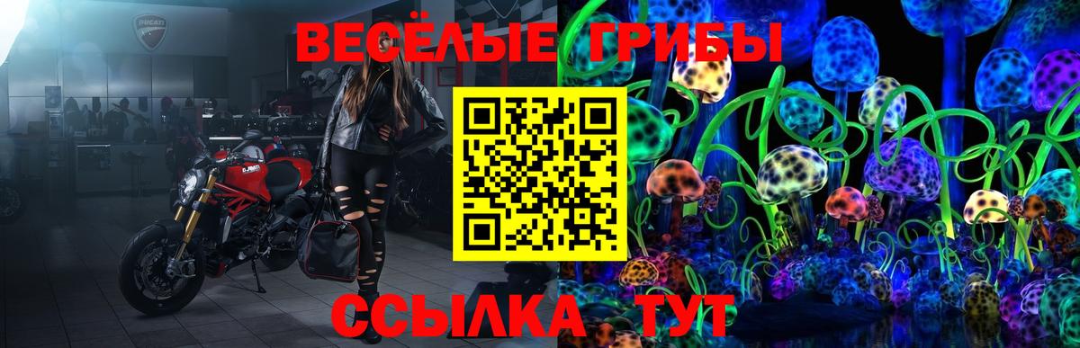 Ижевск  купить наркотик  Вход с VPN  Галлюциногенные грибы мицелий 